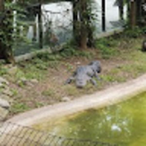 Meet your Posher, Raymond